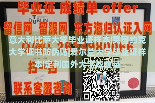 意大利比萨大学毕业证样本|英国约克大学证书防伪贴|爱尔兰大学毕业证样本|定制国外大学毕业证