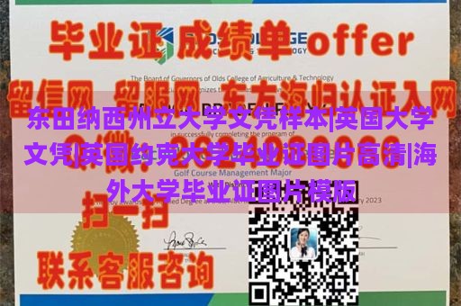 东田纳西州立大学文凭样本|英国大学文凭|英国约克大学毕业证图片高清|海外大学毕业证图片模版