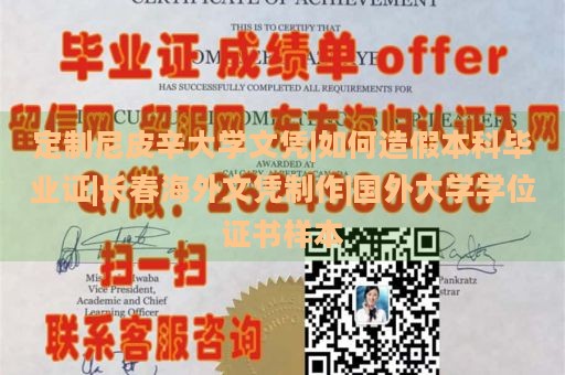 定制尼皮辛大学文凭|如何造假本科毕业证|长春海外文凭制作|国外大学学位证书样本